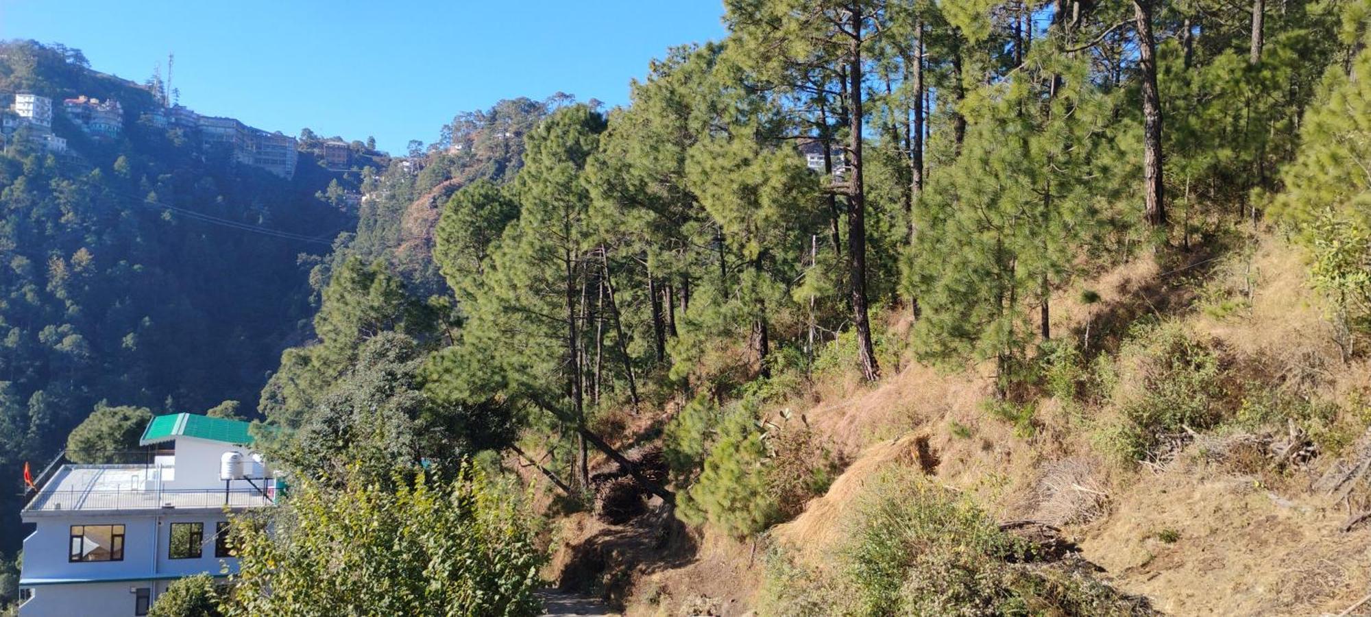 Thakur Homes- Couple And Family Friendly Homestay Shimla Exterior foto