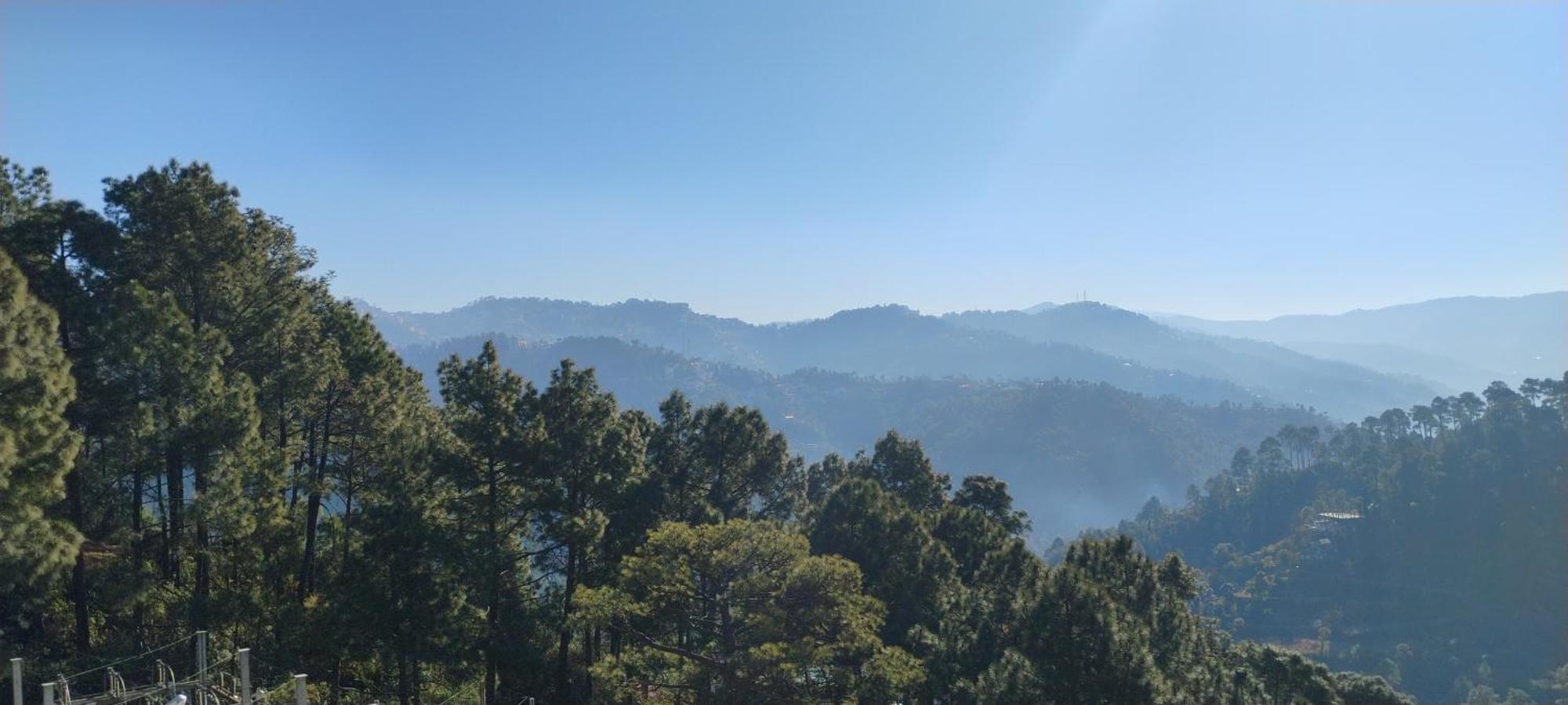 Thakur Homes- Couple And Family Friendly Homestay Shimla Exterior foto